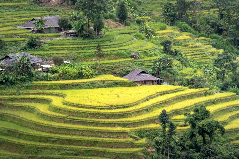 Kho gạo của Lê Anh Tú